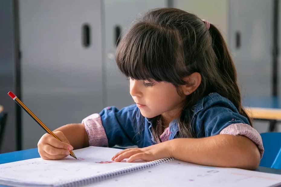 Eleição desta quinta-feira define quem vai dirigir as escolas e creches de Florianópolis